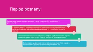 Період розпалу:
Викривлення нижніх кінцівок в ділянці стегон і гомілок (О – подібні ноги –
genu varum)
У другому півріччі життя при наростанні навантаження на довгі трубчасті
кістки відбувається викривлення нижніх кінцівок (Х – подібні ноги – genu
valgum)
Гіперплазія кісткової тканини в ділянці епіфізів трубчастих кісток сприяє
появи рахітичних «браслетів» і «ниток перлів» на верхніх кінцівках
Остеопороз і деформація кісток тазу, зменшується його передньо –
задній розмір і формується плоский рахітичний таз
 