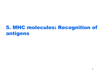 5. MHC molecules: Recognition of
antigens
1
 