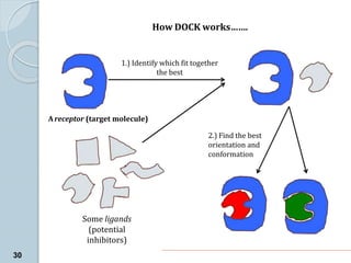 How DOCK works…….
Some ligands
(potential
inhibitors)
1.) Identify which fit together
the best
Areceptor (target molecule)
2.) Find the best
orientation and
conformation
30
 