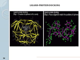 LIGAND-PROTEIN DOCKING
34
 