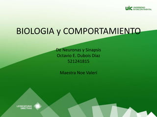 BIOLOGIA y COMPORTAMIENTO
De Neuronas y Sinapsis
Octavio E. Dubois Díaz
521241815
Maestra Noe Valerí
 