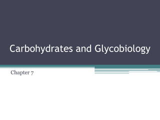 Carbohydrates and Glycobiology
Chapter 7
 