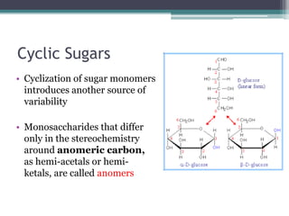 5. Carbohydrates and Glycobiology.pptx