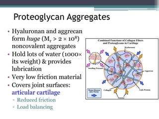 5. Carbohydrates and Glycobiology.pptx