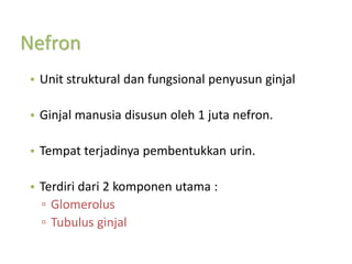 Nefron
• Unit struktural dan fungsional penyusun ginjal
• Ginjal manusia disusun oleh 1 juta nefron.
• Tempat terjadinya pembentukkan urin.
• Terdiri dari 2 komponen utama :
▫ Glomerolus
▫ Tubulus ginjal
 