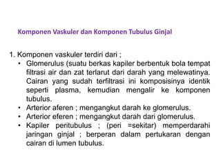 Komponen Vaskuler dan Komponen Tubulus Ginjal
1. Komponen vaskuler terdiri dari ;
• Glomerulus (suatu berkas kapiler berbentuk bola tempat
filtrasi air dan zat terlarut dari darah yang melewatinya.
Cairan yang sudah terfiltrasi ini komposisinya identik
seperti plasma, kemudian mengalir ke komponen
tubulus.
• Arterior aferen ; mengangkut darah ke glomerulus.
• Arterior eferen ; mengangkut darah dari glomerulus.
• Kapiler peritubulus ; (peri =sekitar) memperdarahi
jaringan ginjal ; berperan dalam pertukaran dengan
cairan di lumen tubulus.
 