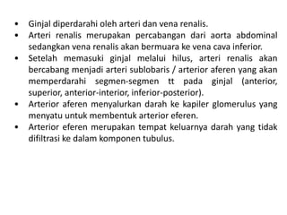 • Ginjal diperdarahi oleh arteri dan vena renalis.
• Arteri renalis merupakan percabangan dari aorta abdominal
sedangkan vena renalis akan bermuara ke vena cava inferior.
• Setelah memasuki ginjal melalui hilus, arteri renalis akan
bercabang menjadi arteri sublobaris / arterior aferen yang akan
memperdarahi segmen-segmen tt pada ginjal (anterior,
superior, anterior-interior, inferior-posterior).
• Arterior aferen menyalurkan darah ke kapiler glomerulus yang
menyatu untuk membentuk arterior eferen.
• Arterior eferen merupakan tempat keluarnya darah yang tidak
difiltrasi ke dalam komponen tubulus.
 