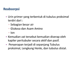 Reabsorpsi
• Urin primer yang terbentuk di tubulus proksimal
terdiri dari :
▫ Sebagian besar air
▫ Glukosa dan Asam Amino
▫ Ion
• Kemudian zat tersebut kemudian diserap oleh
kapiler peritubuler secara aktif dan pasif.
• Penyerapan terjadi di sepanjang Tubulus
proksimal, Lengkung Henle, dan tubulus distal.
 