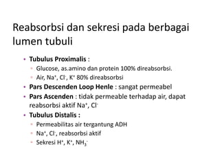 Reabsorbsi dan sekresi pada berbagai
lumen tubuli
• Tubulus Proximalis :
▫ Glucose, as.amino dan protein 100% direabsorbsi.
▫ Air, Na+, Cl-, K+ 80% direabsorbsi
• Pars Descenden Loop Henle : sangat permeabel
• Pars Ascenden : tidak permeable terhadap air, dapat
reabsorbsi aktif Na+, Cl-
• Tubulus Distalis :
▫ Permeabilitas air tergantung ADH
▫ Na+, Cl-, reabsorbsi aktif
▫ Sekresi H+, K+, NH3
-
 