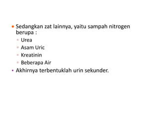  Sedangkan zat lainnya, yaitu sampah nitrogen
berupa :
▫ Urea
▫ Asam Uric
▫ Kreatinin
▫ Beberapa Air
• Akhirnya terbentuklah urin sekunder.
 