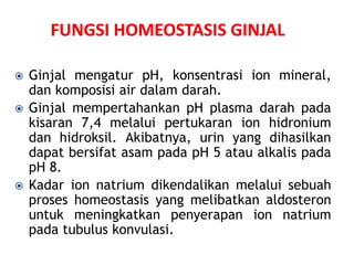  Ginjal mengatur pH, konsentrasi ion mineral,
dan komposisi air dalam darah.
 Ginjal mempertahankan pH plasma darah pada
kisaran 7,4 melalui pertukaran ion hidronium
dan hidroksil. Akibatnya, urin yang dihasilkan
dapat bersifat asam pada pH 5 atau alkalis pada
pH 8.
 Kadar ion natrium dikendalikan melalui sebuah
proses homeostasis yang melibatkan aldosteron
untuk meningkatkan penyerapan ion natrium
pada tubulus konvulasi.
 