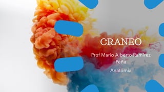 CRANEO
Prof Mario Alberto Ramírez
Peña
Anatomía
 