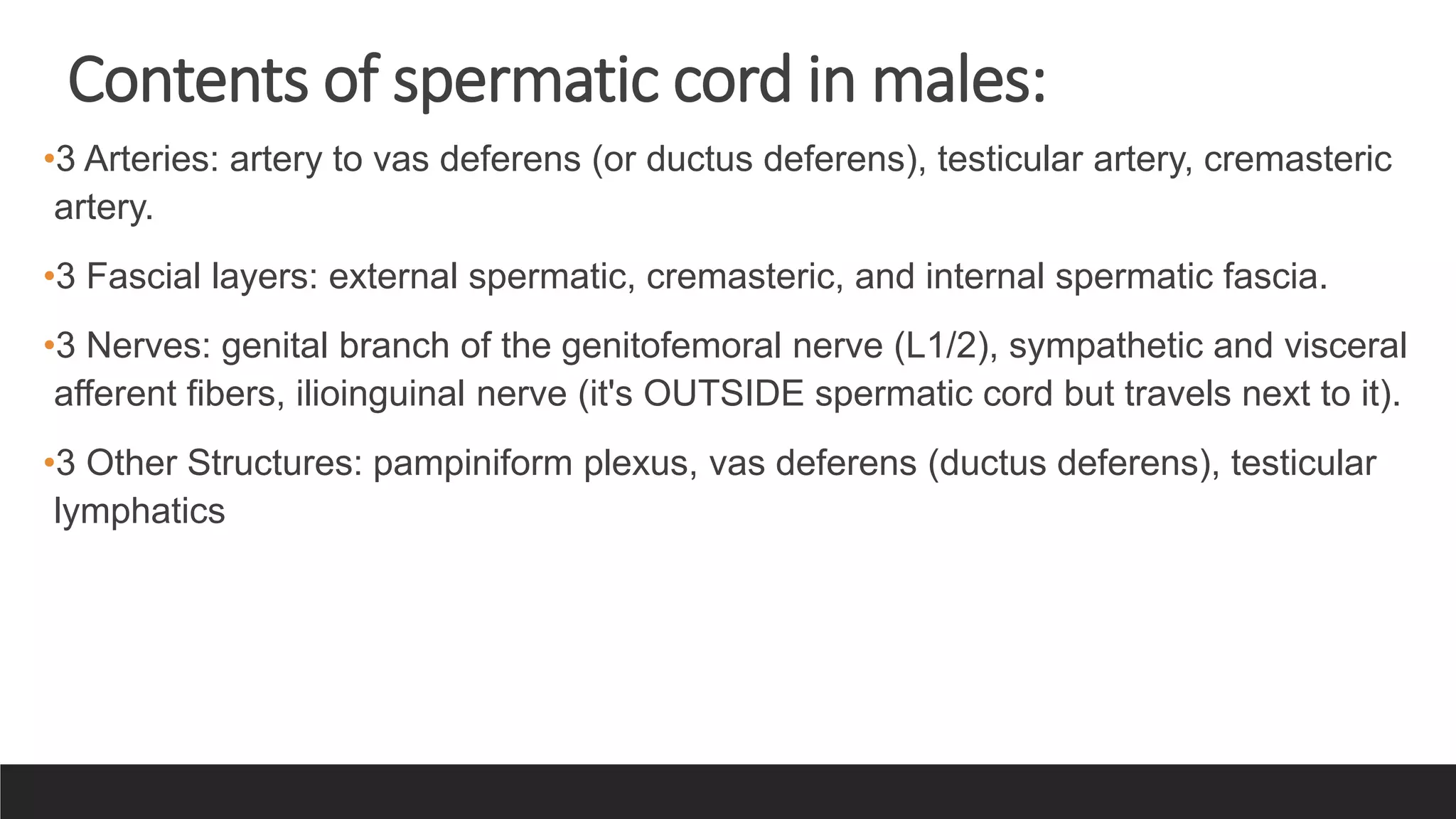 5. Inguinal Hernia & Surgical Anatomy.pptx
