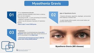 - It’s an Autoimmune disorder.
- patients develop antibodies which block or destroy
their own Ach receptors.
- decreasing the EPP , or even preventing its formation.
- weakness or paralysis of muscles.
- patient may die because of paralysis of respiratory
muscles.
- Occurs in about 1 in every 20,000 persons.
01
signs of Myasthenia Gravis:
- Presents with ptosis, dysarthria, dysphagia, and proximal
limb weakness in hands & feet.
-in adult females affects eyelid, extra ocular bulbar and
proximal limb muscles.
02
Treatment:
- Administration of anticholinesterase drugs such as
Neostigmine which allows larger than normal amounts of
Ach to accumulate in the synaptic space.
- Corticosteroids and Immunosuppressant drugs to inhibit the
immune system, limiting antibody production.
03
Myasthenia Gravis
‫ﺑﯾطﻠﻊ‬ ‫ﻟﻠﻲ‬ ‫ﻣﻧﺎن‬ ‫دﻛﺗورة‬ ‫ﻟﻣﺣﺎﺿرات‬ ‫اﻷدوﯾﺔ‬ ‫ﻣﻠﺧص‬
Shatha Aldhohair,Med439 ♥
 