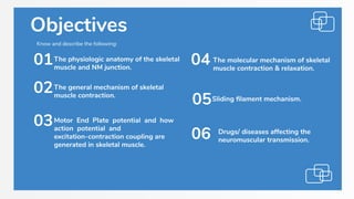 Objectives
The general mechanism of skeletal
muscle contraction.
02
The physiologic anatomy of the skeletal
muscle and NM junction.
01
Motor End Plate potential and how
action potential and
excitation-contraction coupling are
generated in skeletal muscle.
03
The molecular mechanism of skeletal
muscle contraction & relaxation.
04
Sliding ﬁlament mechanism.
05
Drugs/ diseases affecting the
neuromuscular transmission.
06
Know and describe the following:
 