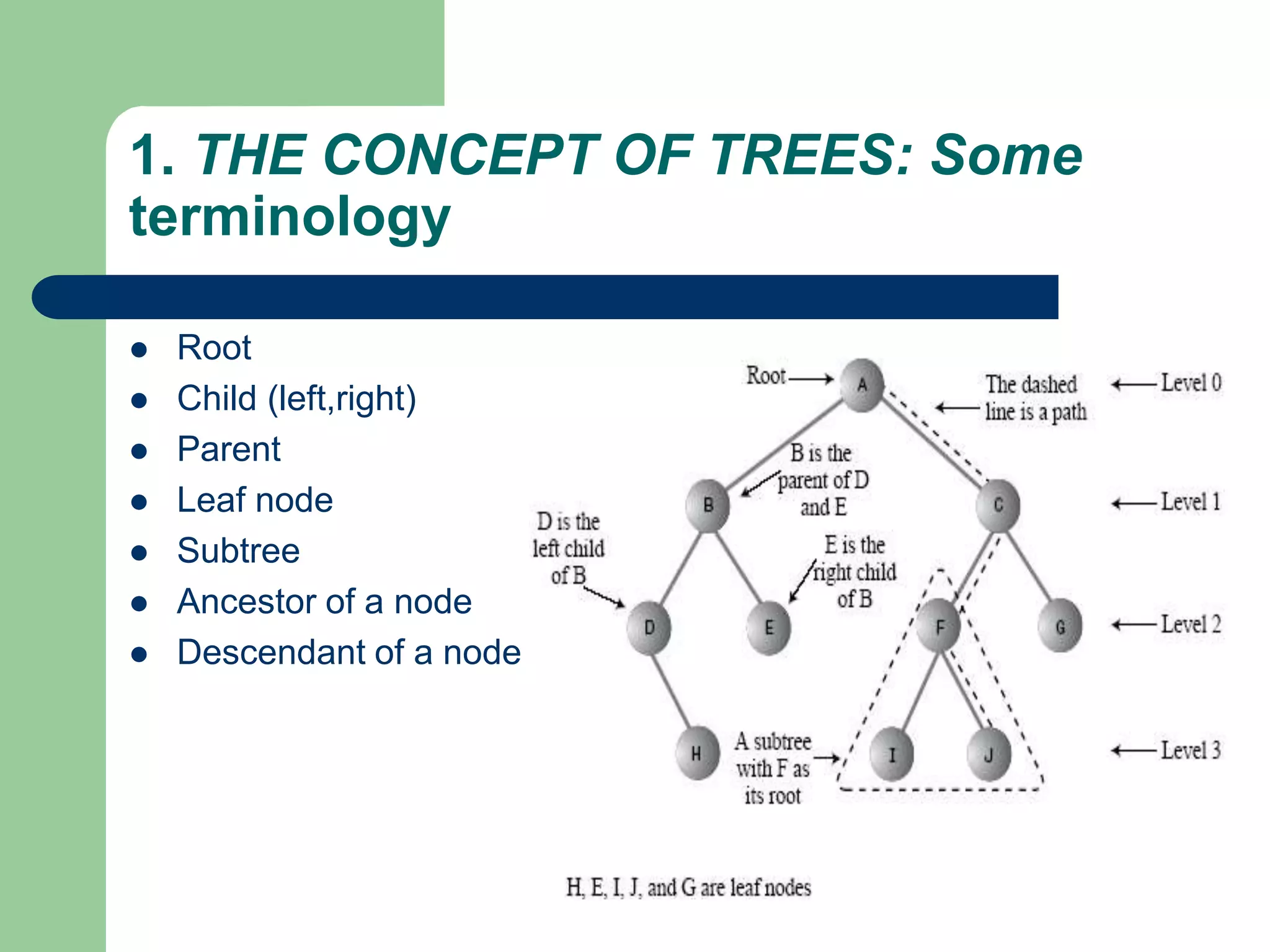 1. THE CONCEPT OF TREES: Some
terminology
 Root
 Child (left,right)
 Parent
 Leaf node
 Subtree
 Ancestor of a node
 Descendant of a node
 
