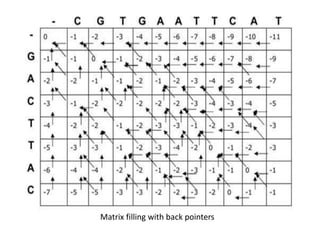 Matrix filling with back pointers
 