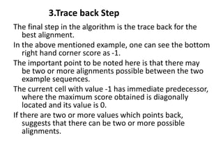 5. Global and Local Alignment Algorithms.pptx