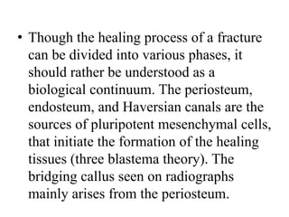 • Though the healing process of a fracture
can be divided into various phases, it
should rather be understood as a
biological continuum. The periosteum,
endosteum, and Haversian canals are the
sources of pluripotent mesenchymal cells,
that initiate the formation of the healing
tissues (three blastema theory). The
bridging callus seen on radiographs
mainly arises from the periosteum.
 