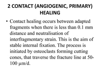 2 CONTACT (ANGIOGENIC, PRIMARY)
HEALING
• Contact healing occurs between adapted
fragments when there is less than 0.1 mm
distance and neutralisation of
interfragmentary strain. This is the aim of
stable internal fixation. The process is
initiated by osteoclasts forming cutting
cones, that traverse the fracture line at 50-
100 µm/d.
 