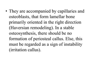 • They are accompanied by capillaries and
osteoblasts, that form lamellar bone
primarily oriented in the right direction
(Haversian remodeling). In a stable
osteosynthesis, there should be no
formation of periosteal callus. Else, this
must be regarded as a sign of instability
(irritation callus).
 
