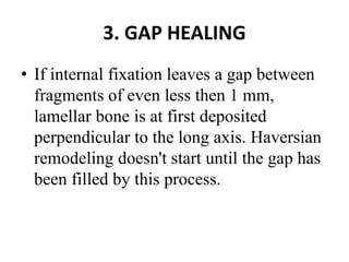 3. GAP HEALING
• If internal fixation leaves a gap between
fragments of even less then 1 mm,
lamellar bone is at first deposited
perpendicular to the long axis. Haversian
remodeling doesn't start until the gap has
been filled by this process.
 