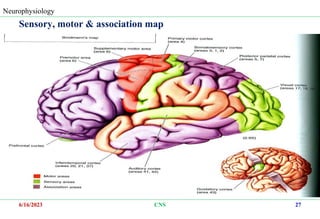 5. CNS.ppt