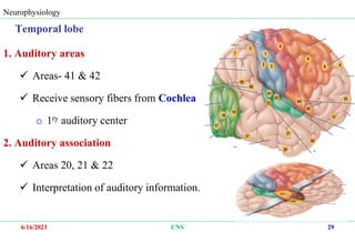 5. CNS.ppt