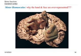 5. CNS.ppt