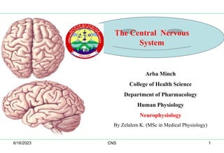 Arba Minch
College of Health Science
Department of Pharmacology
Human Physiology
Neurophysiology
By Zelalem K. (MSc in Medical Physiology)
The Central Nervous
System
6/16/2023 CNS 1
 