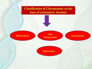 5. Architecture of chromosome.pdf
