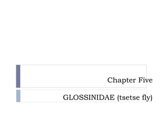 Chapter Five
GLOSSINIDAE (tsetse fly)
 