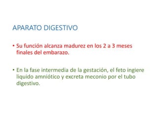 APARATO DIGESTIVO
• Su función alcanza madurez en los 2 a 3 meses
finales del embarazo.
• En la fase intermedia de la gestación, el feto ingiere
liquido amniótico y excreta meconio por el tubo
digestivo.
 