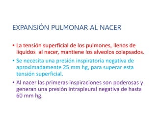 EXPANSIÓN PULMONAR AL NACER
• La tensión superficial de los pulmones, llenos de
líquidos al nacer, mantiene los alveolos colapsados.
• Se necesita una presión inspiratoria negativa de
aproximadamente 25 mm hg, para superar esta
tensión superficial.
• Al nacer las primeras inspiraciones son poderosas y
generan una presión intrapleural negativa de hasta
60 mm hg.
 
