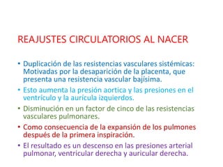 REAJUSTES CIRCULATORIOS AL NACER
• Duplicación de las resistencias vasculares sistémicas:
Motivadas por la desaparición de la placenta, que
presenta una resistencia vascular bajísima.
• Esto aumenta la presión aortica y las presiones en el
ventrículo y la aurícula izquierdos.
• Disminución en un factor de cinco de las resistencias
vasculares pulmonares.
• Como consecuencia de la expansión de los pulmones
después de la primera inspiración.
• El resultado es un descenso en las presiones arterial
pulmonar, ventricular derecha y auricular derecha.
 