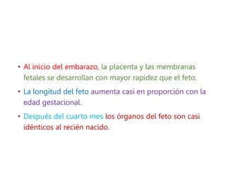 • Al inicio del embarazo, la placenta y las membranas
fetales se desarrollan con mayor rapidez que el feto.
• La longitud del feto aumenta casi en proporción con la
edad gestacional.
• Después del cuarto mes los órganos del feto son casi
idénticos al recién nacido.
 