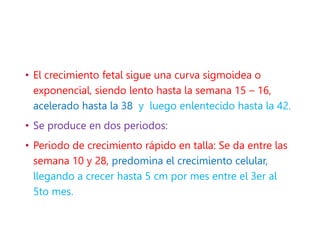 • El crecimiento fetal sigue una curva sigmoidea o
exponencial, siendo lento hasta la semana 15 – 16,
acelerado hasta la 38 y luego enlentecido hasta la 42.
• Se produce en dos periodos:
• Periodo de crecimiento rápido en talla: Se da entre las
semana 10 y 28, predomina el crecimiento celular,
llegando a crecer hasta 5 cm por mes entre el 3er al
5to mes.
 