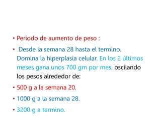 • Periodo de aumento de peso :
• Desde la semana 28 hasta el termino.
Domina la hiperplasia celular. En los 2 últimos
meses gana unos 700 gm por mes, oscilando
los pesos alrededor de:
• 500 g a la semana 20.
• 1000 g a la semana 28.
• 3200 g a termino.
 