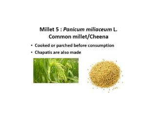 5. Millets.pdf