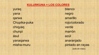 KULURKUNA = LOS COLORES
yuraq blanco
yana negro
qarwa amarillo
Chupika-puka rojo/colorado
chiqyaq verde
chunpi marrón
ásul azúl
yanaqarwa anaranjado
misha-muru pintado en rayas
(solo en maíz)
 