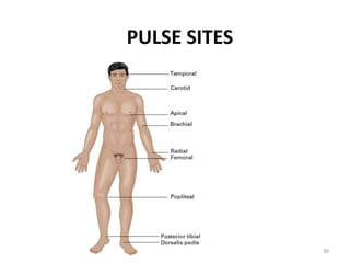PULSE SITES
30
 