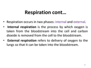 Respiration cont…
• Respiration occurs in two phases: internal and external.
• Internal respiration is the process by which oxygen is
taken from the bloodstream into the cell and carbon
dioxide is removed from the cell to the bloodstream.
• External respiration refers to delivery of oxygen to the
lungs so that it can be taken into the bloodstream.
38
 