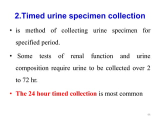 2.Timed urine specimen collection
• is method of collecting urine specimen for
specified period.
• Some tests of renal function and urine
composition require urine to be collected over 2
to 72 hr.
• The 24 hour timed collection is most common
66
 