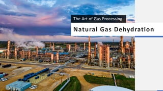 The Art of Gas Processing
 