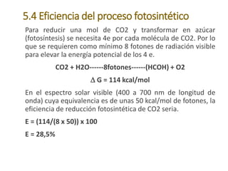Para reducir una mol de CO2 y transformar en azúcar
(fotosíntesis) se necesita 4e por cada molécula de CO2. Por lo
que se requieren como mínimo 8 fotones de radiación visible
para elevar la energía potencial de los 4 e.
CO2 + H2O------8fotones------(HCOH) + O2
 G = 114 kcal/mol
En el espectro solar visible (400 a 700 nm de longitud de
onda) cuya equivalencia es de unas 50 kcal/mol de fotones, la
eficiencia de reducción fotosintética de CO2 seria.
E = (114/(8 x 50)) x 100
E = 28,5%
5.4 Eficiencia del proceso fotosintético
 