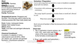PALE
CATECHU
Synonyms: Gambier,
Catechu
Biological source:
It is an aqueous extract of the
leaves and young shoots of
Uncaria gambier
Family: Rubiaceae
Geographical source: Singapore and
Sumatra. This drug was used in India for the
chewing purpose with Piper betle (betel) leaf.
Extraction / Preparation:
Leaves and young shoot are boiled in a water in Cauldron ( a wooden
vessel with iron bottom
. Concentrate with continuous stirring until green colour syrupy
consistency
. The syrupy liquid is poured in a wooden frame or mould and allowed
to cool.
. When form semisolid mass cut by knife
Much amount of Gambier is filled into kerosene tins to solidify to obtain
large blocks
Form: Cubes, rectangular blocks
Colour: Dark reddish brown.
Odour: None.
Taste: First bitter and astringent afterwards
sweetish.
Chemical Constituent:
It contains (+)-catechin (7-33%),
catechutannic acid (22-50%). Other
are catechu red, quercitin and gambier
fluorescin, a fluorescent substance.
Chem test-
1. Dip a matchstick in tannin solution, dry +
conc. HCL. warm stick near flame.
colour of the wood changes to pink due
to the formation of phloroglucinol.
2. Drug + with vanillin and hydrochloric –
Red colour
USES-
Astringent in the
treatment of
diarrhoea
Local astringents
11/7/2023
Dr. Sutar N.G., Associate Prof.,HOD, Dept of Pharmacognosy,
Sanjivani College of Pharmaceutical Education and Research,
Kopargaon
 