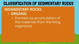 SEDIMENTARY ROCKS
• Formed via accumulation of
the materials from the living
organisms .
• ORGANIC
CLASSIFICATION OF SEDIMENTARY ROCKS
 