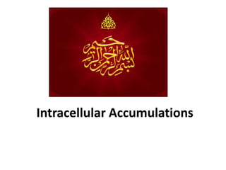 Intracellular Accumulations
 