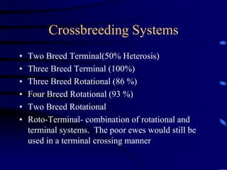 5. Sheep Breeding and Reproduction.ppt