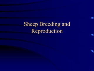 Sheep Breeding and
Reproduction
 